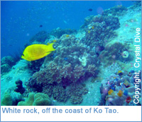 White Rock, Ko Tao, Thailand