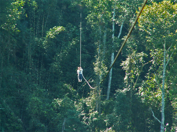 Ziplining at the Gibbon Experience