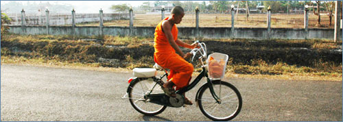 Two wheels good, four wheels bad Two wheels good, four wheels bad