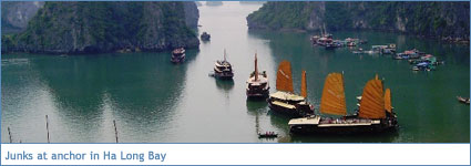 Junks at anchor in Ha Long Bay
