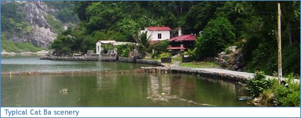 Typical Cat Ba scenery