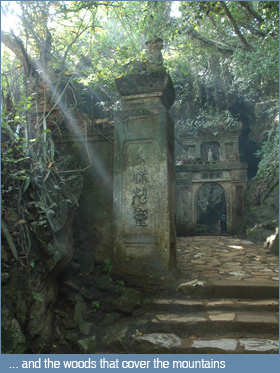 Light filtering through the forest on the Marble Mountains, Da Nang, Vietnam Light filtering through the forest on the Marble Mountains, Da Nang, Vietnam