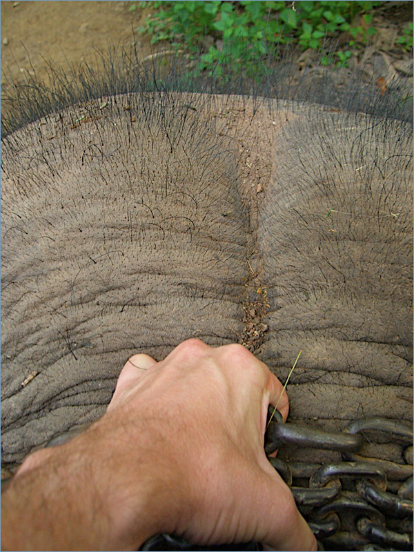 Luangprabangphotos4