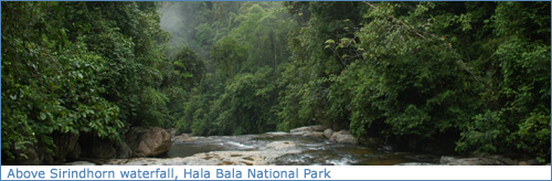 Standing abive Sirindhorn Waterfall in Bang Nara National Park, Narathiwat