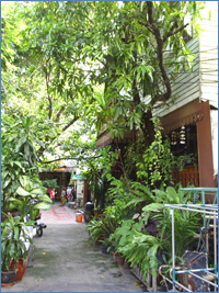 The approach to Sala Thai