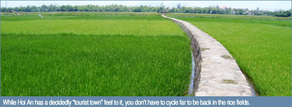 While Hoi An has a decidedly “tourist town” feel to it, you don’t have to cycle far to be back in the rice fields.
