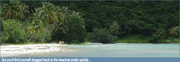 But you’ll find yourself dragged back to Phu Quoc's beaches pretty quickly...
