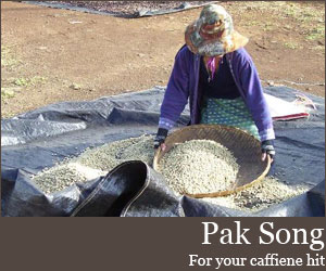 Photo for Pak Song