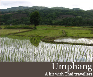 Photo for Umphang