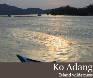 Photo for 