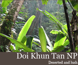 Photo for Doi Khun Tan National Park