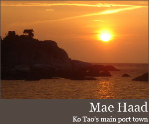 Photo for 