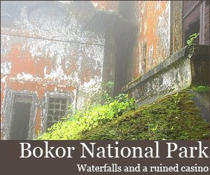 Photo for Bokor National Park