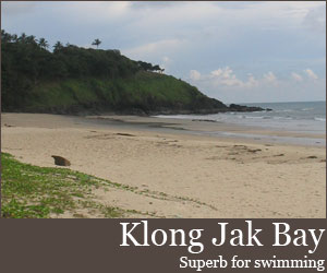 Photo for 