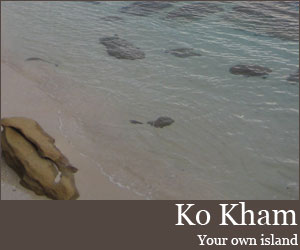 Photo for 