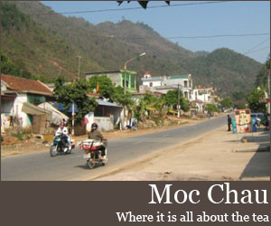 Photo for Moc Chau
