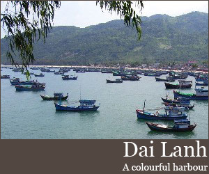Photo for Dai Lanh