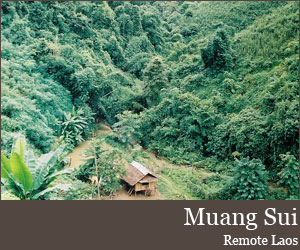 Photo for Muang Sui