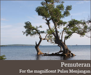 Photo for Pemuteran