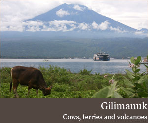 Photo for Gilimanuk
