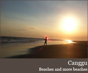 Photo for Canggu