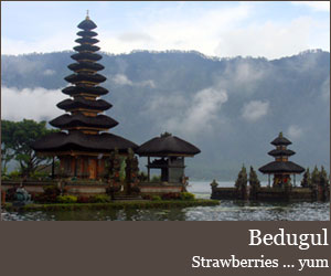 Photo for Bedugul