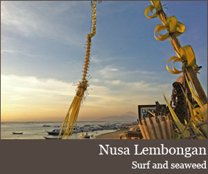 Photo for Nusa Lembongan