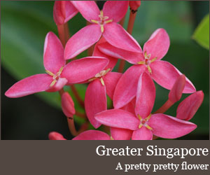 Photo for Greater Singapore
