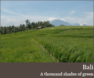 Bali