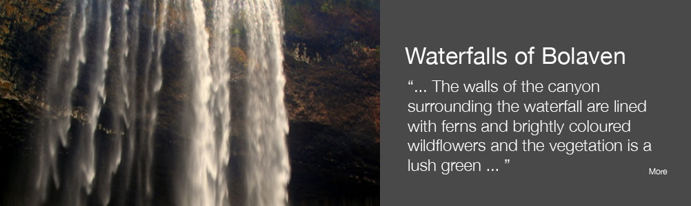 Waterfalls of Bolaven