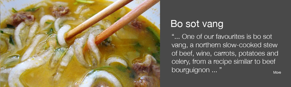 Bo sot vang