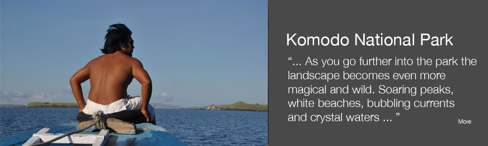 Indonesia: Komodo National Park Indonesia: Komodo National Park