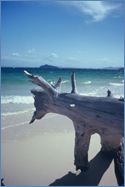 Photo of Ko Bulon Lae