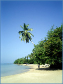 Photo of Ko Libong