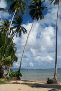 Photo of Ko Maak