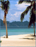 Photo of Ko Ngai
