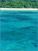 Photo of Ko Phi Phi