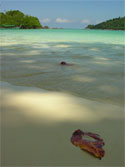 Photo of Ko Surin