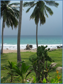 Photo of Ko Tao