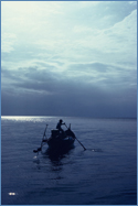 Photo of Ko Tarutao