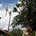 Photo: Galungan penjor