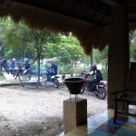 Waka Shorea
