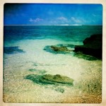 Java's Ujung Genteng, end of the... roof tile?