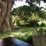 International food in Siem Reap: Part 1