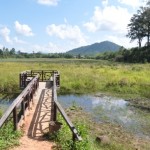 Siem Reap weather: When is the best time to visit?