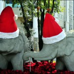 Chiang Mai Christmas