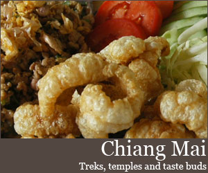 Read more from our dedicated travel blog for Chiang Mai