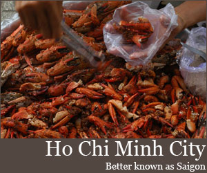 Read more from our dedicated travel blog for Ho Chi Minh City Read more from our dedicated travel blog for Ho Chi Minh City