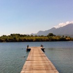Review: The Menjangan, Bali