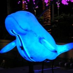 Kopi tasting in Trang